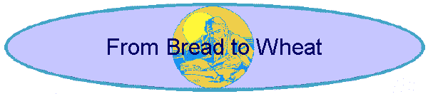 From Bread to Wheat